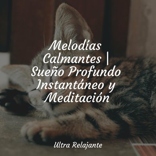 Melodías Calmantes Sueño Profundo Instantáneo y Meditación by