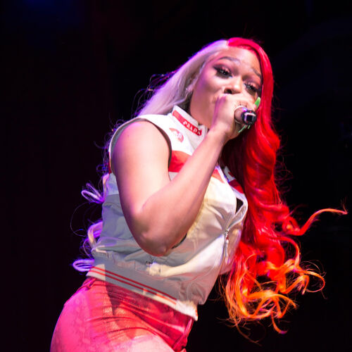 Image result for megan thee stallion 500x500
