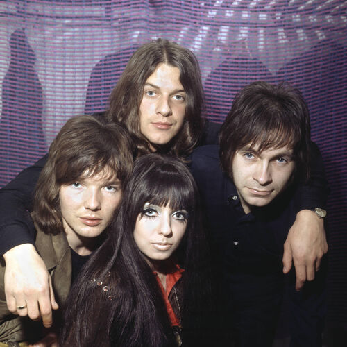 Shocking blue фото