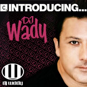 The Face - Needin U / Dj Wady Ibiza Mix