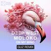 Deep West & Moloko - On My Mind