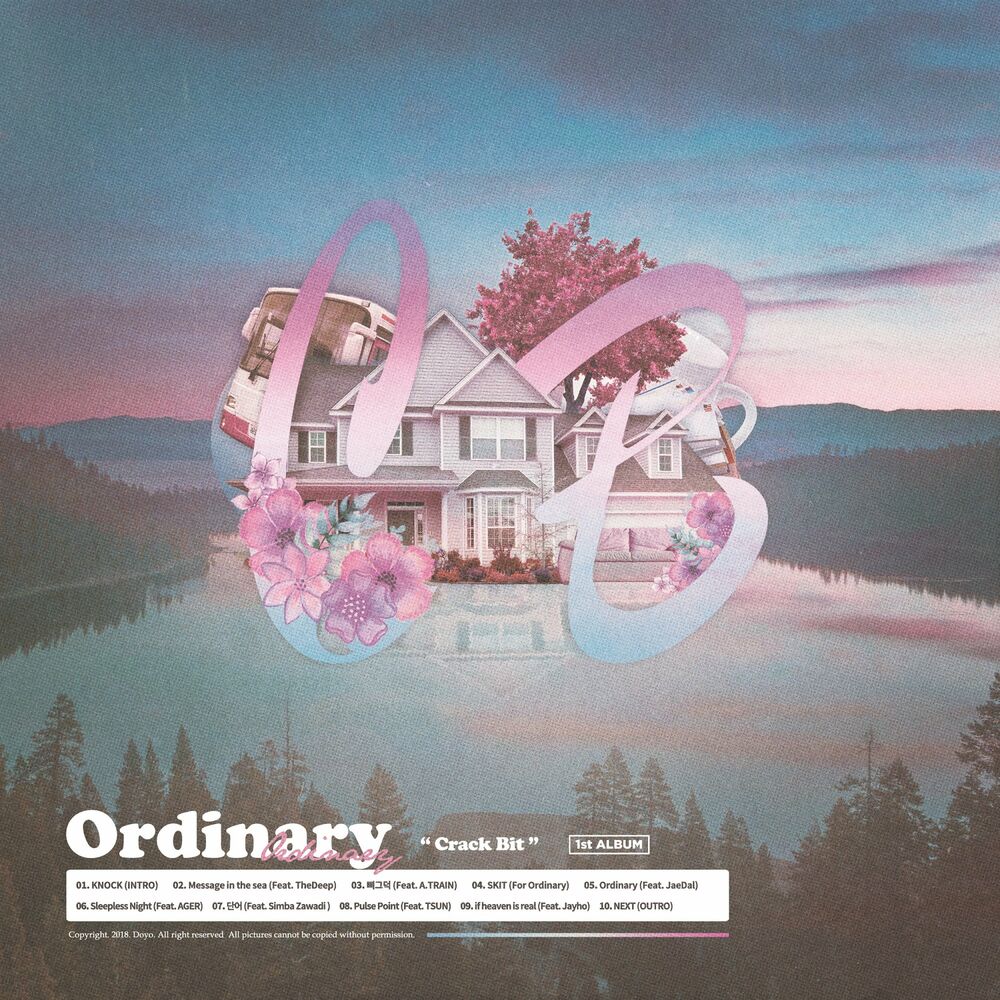 Crack Bit – Ordinary