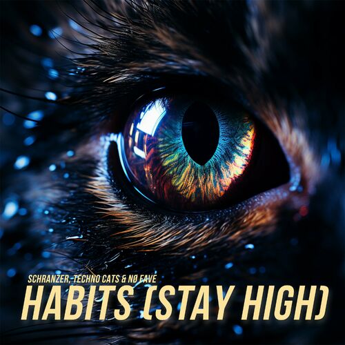  Schranzer - Habits (Stay High) (2024) 