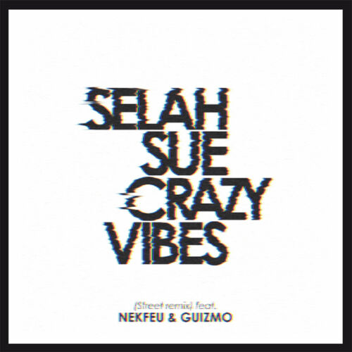 Crazy Vibes (Street Remix) - Selah Sue