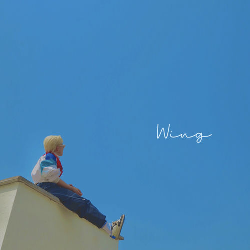 SUITZ – Wing – Single