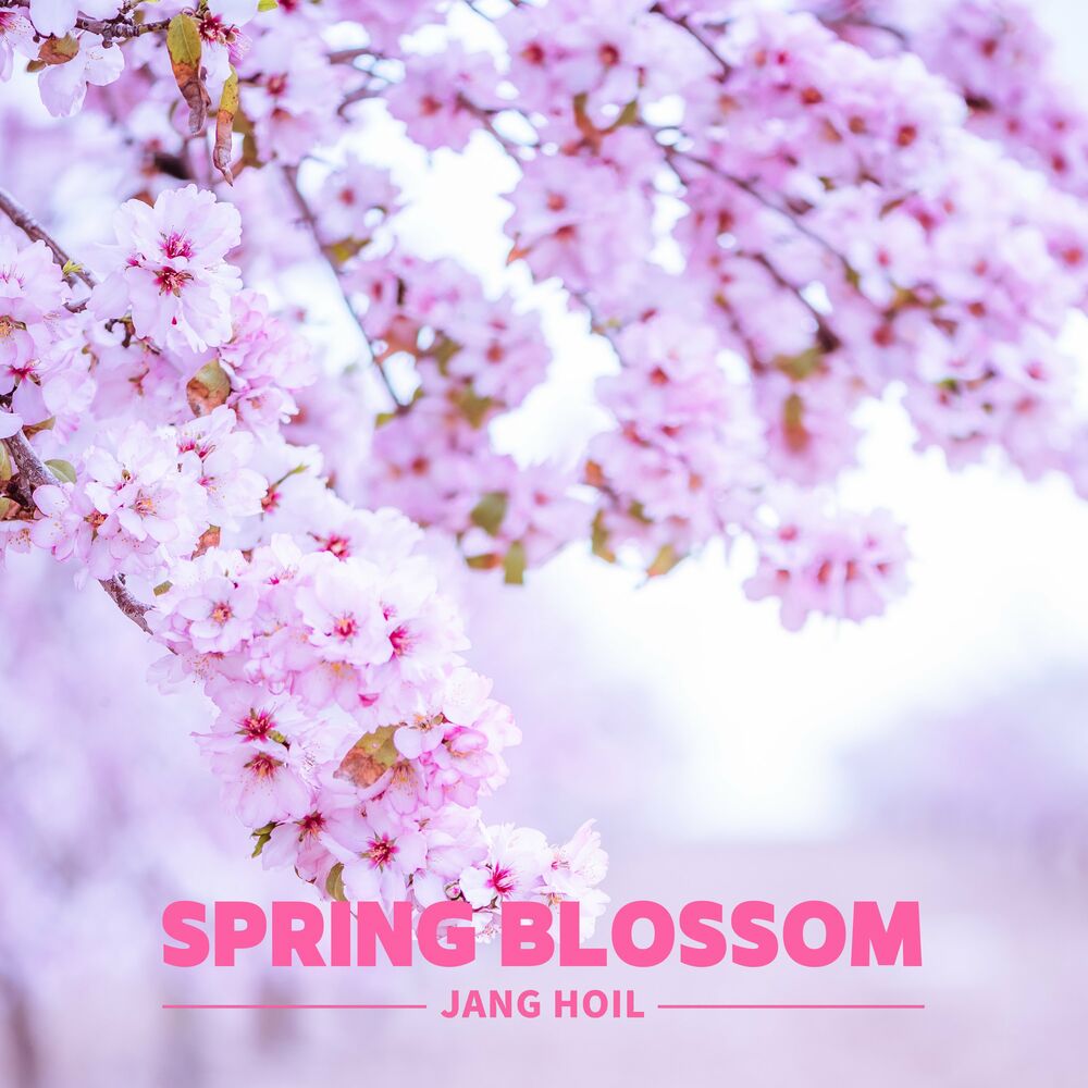 Jang Hoil – Spring Blossom – Single