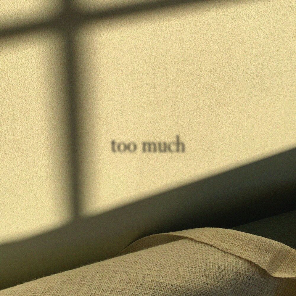 SWRY – TOO MUCH – Single
