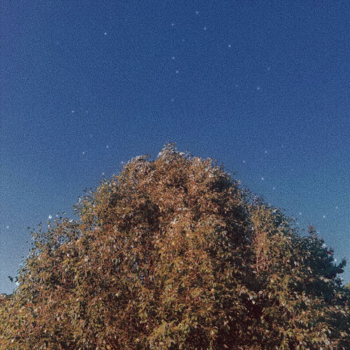 Joo Yeahin – You are not alone – Single