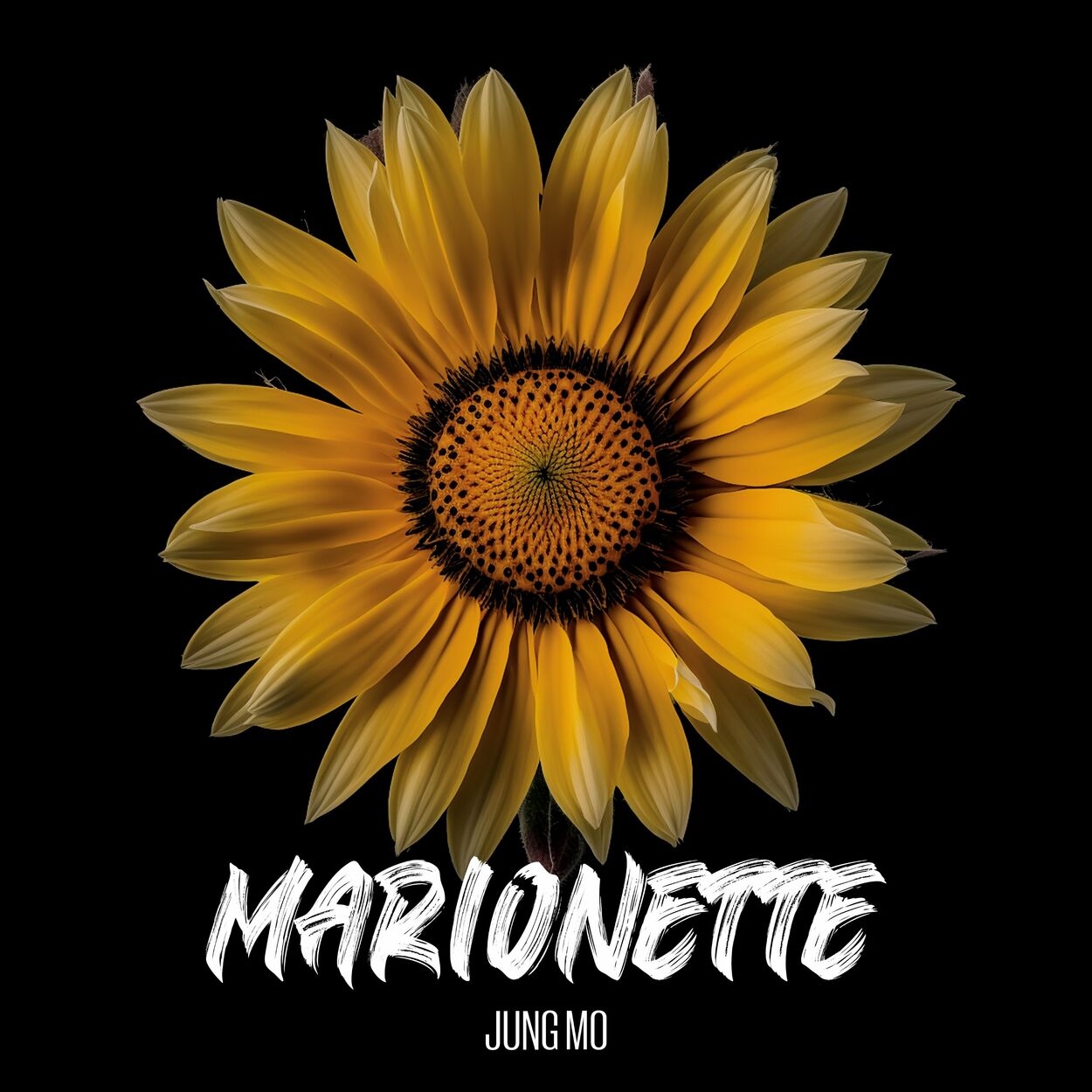 JUNGMO – Marionette – Single