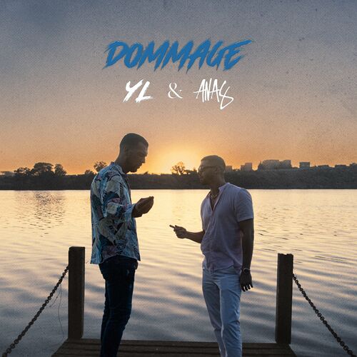 Dommage - YL