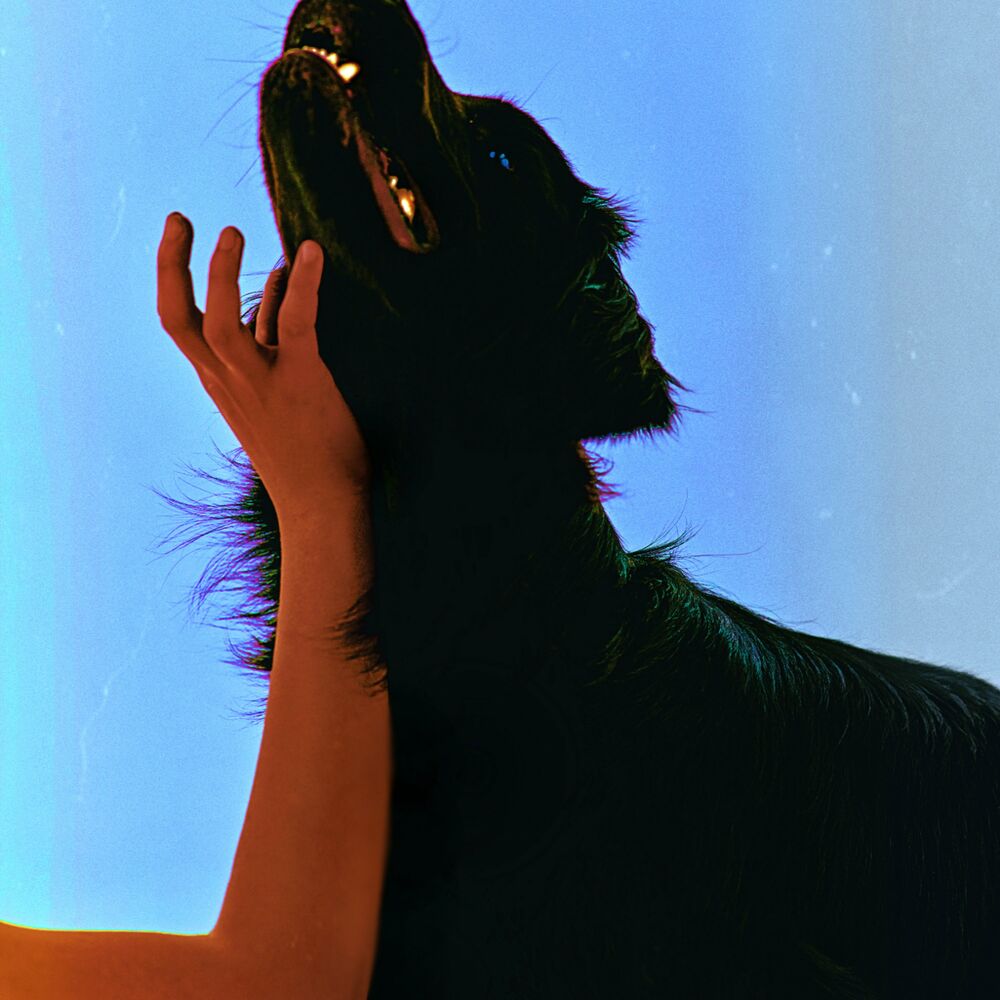 Damini – DOG – Single