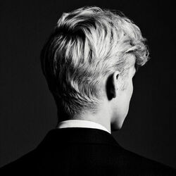 Download Troye Sivan - Bloom 2018
