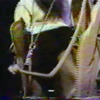 Deezer sleep mode download Deezer sleep mode download