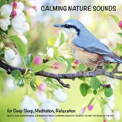 Calming Nature Sounds (Without Music) for Deep Sleep, Meditation, Relaxation (Gentle Rain, Warm Springs, Chirping Crickets, a Songbird Concert, the Sounds of the Sea, Tropical S