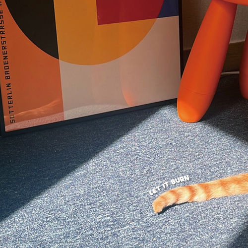 JFLAMINGO – Let It Burn – Single