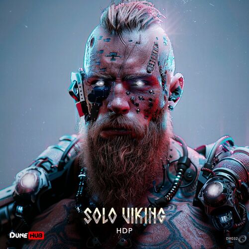  Solo Viking - HDP (2024) 