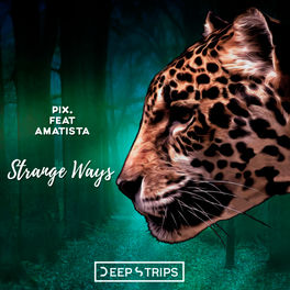 Pix Strange Ways Elegant Ape Remix Listen With Lyrics Deezer deezer