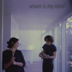 Where Is My Mind?