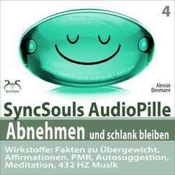 Abnehmen und schlank bleiben - SyncSouls AudioPille: Fakten zu Übergewicht, Affirmationen, PMR, Autosuggestion, Reflexion, 432 Hz 