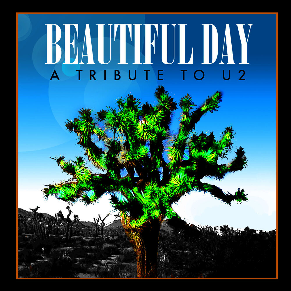 Beautiful Day (Made Famous by U2)