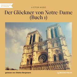 Der Glöckner von Notre-Dame, Buch 1 (Ungekürzt) Audiobook