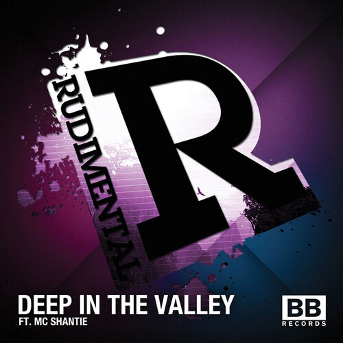 Deep in the Valley - Rudimental