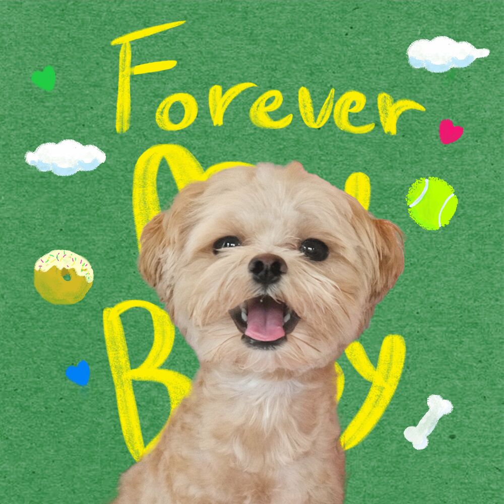 It′s – Forever My Baby – Single