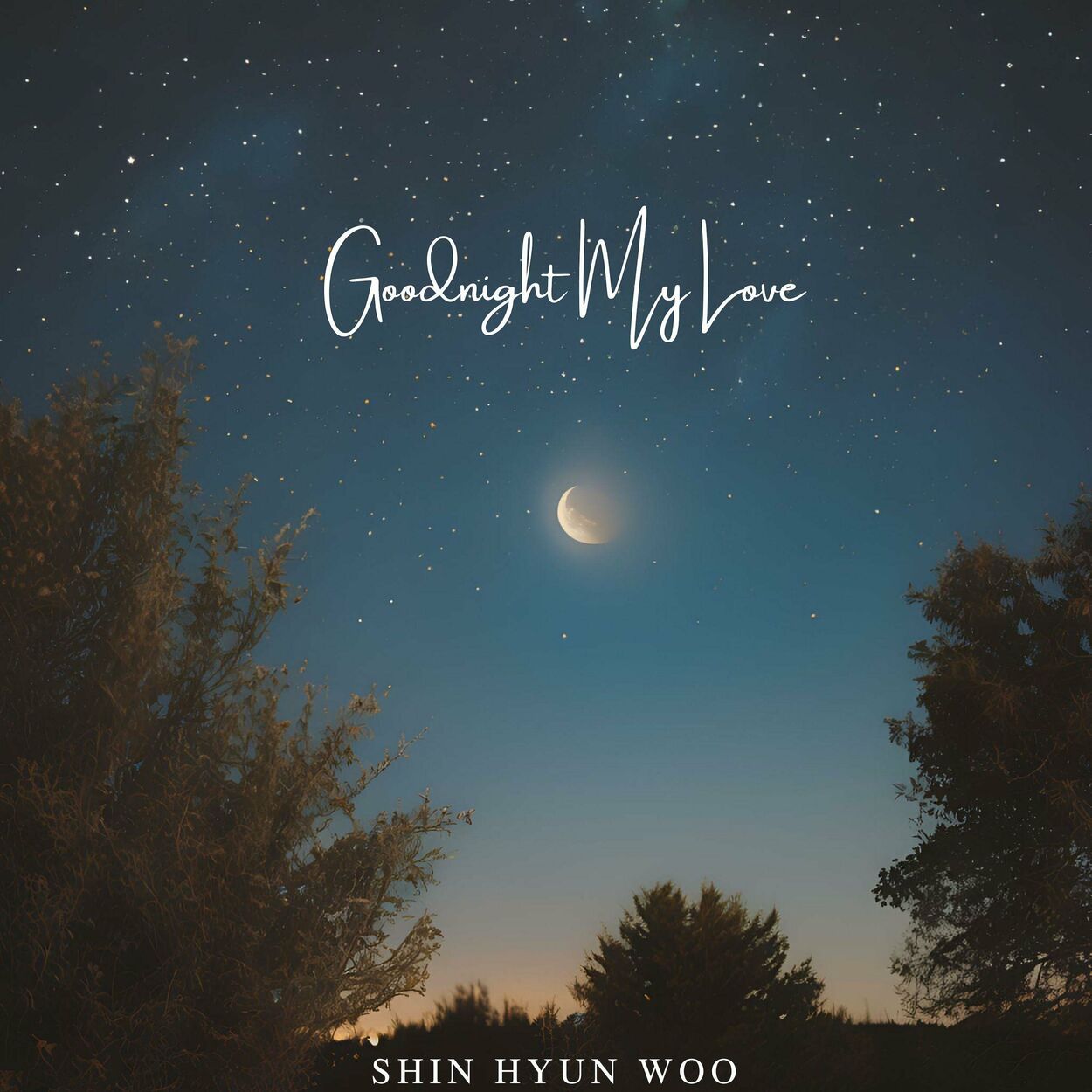 Shin Hyun Woo – Good night, my love – Single