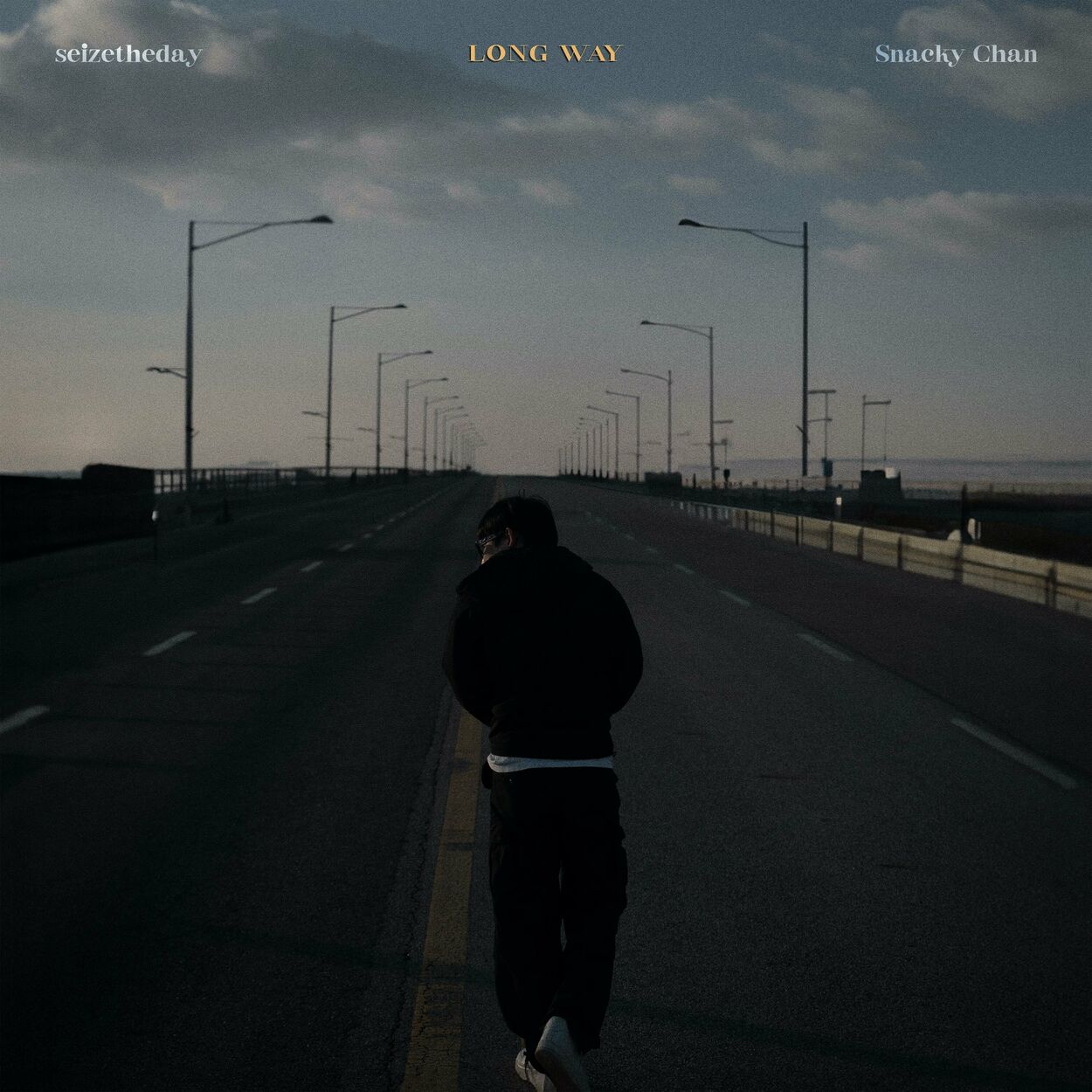 seizetheday – Long way (Feat. Snacky Chan) – Single