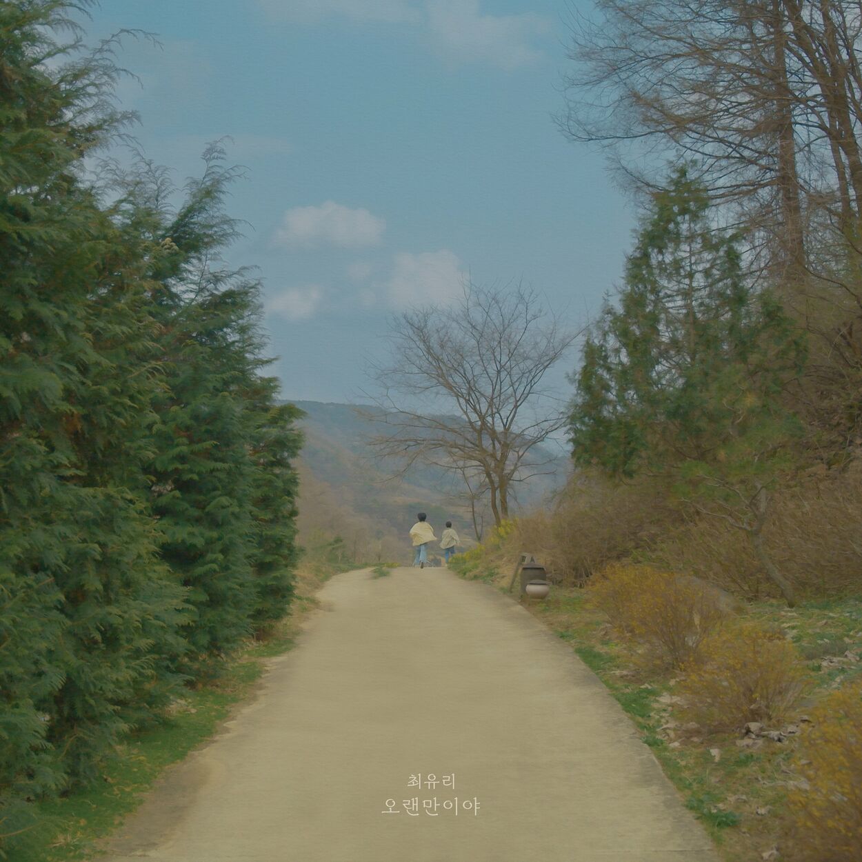 Choi Yu Ree – It’s been a while – Single