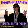 Залкин, Валерий - Падали звезды