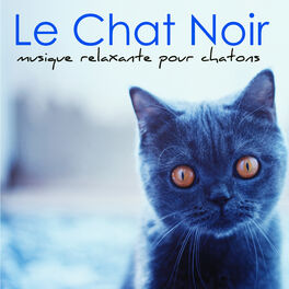 Les Animaux Le Chat Noir Musique Relaxante Pour Chatons Et Tous Les Animaux Qu On Adore Chansons Et Paroles Deezer