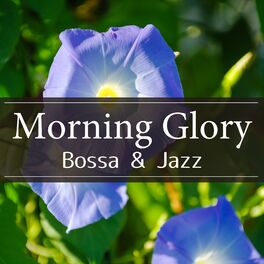 Relaxing Piano Crew Morning Glory Bossa Jazz Lyrics And Songs Deezer