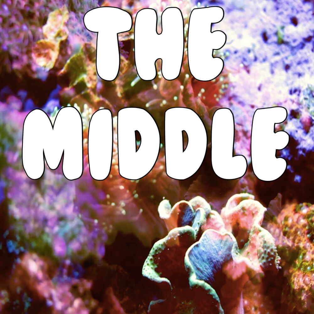 The Middle
