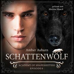 Schattenwolf, Episode 6 - Fantasy-Serie (Academy of Shapeshifters)