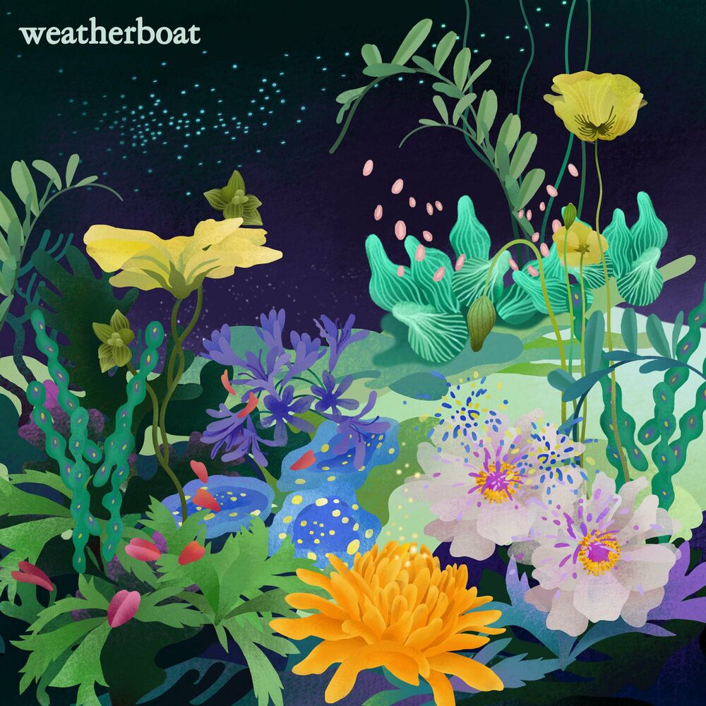 Weather Boat – Fall Into Haze – Single