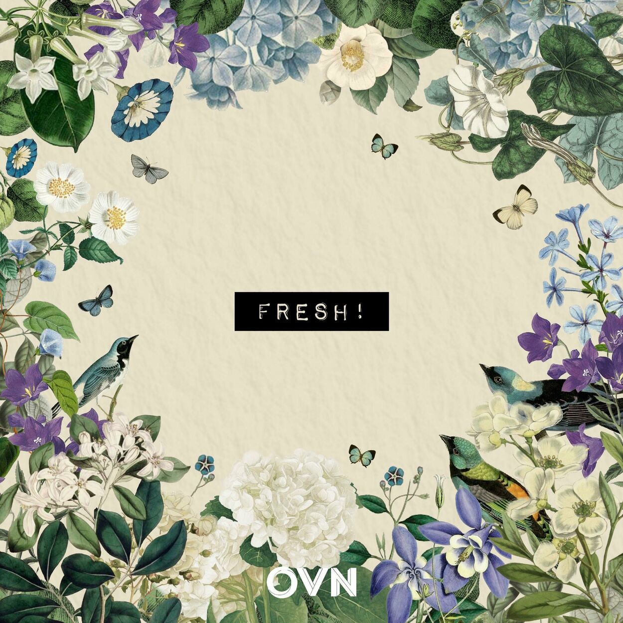 OVN – Fresh! – EP