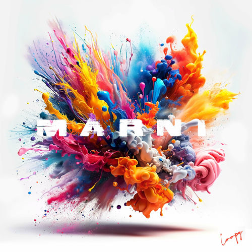 Loopy – MARNI