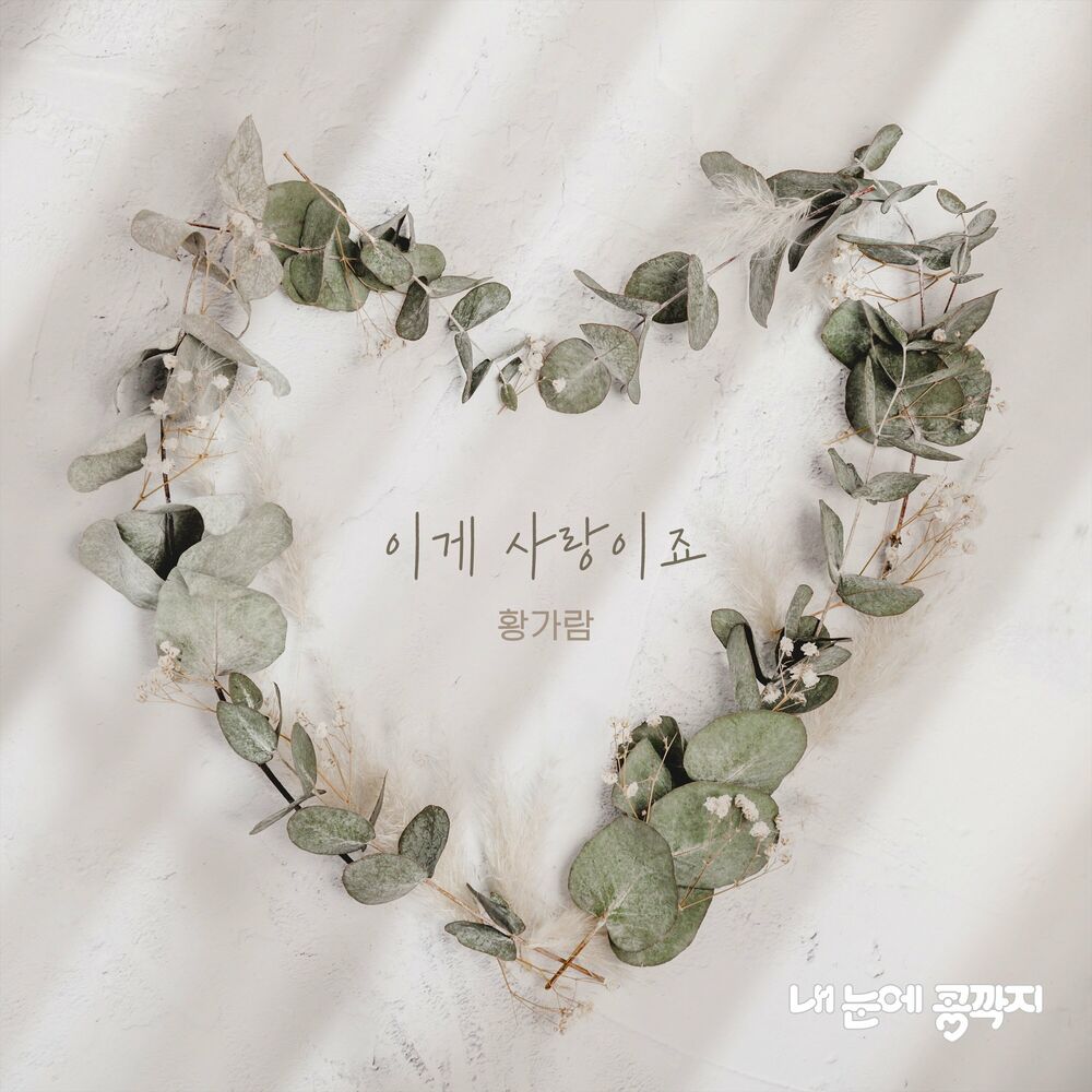 Hwang Garam – Love In Eyes OST Pt.2