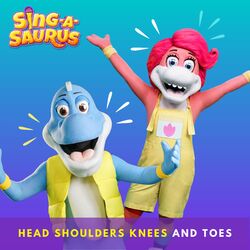 Head Shoulders Knees & Toes