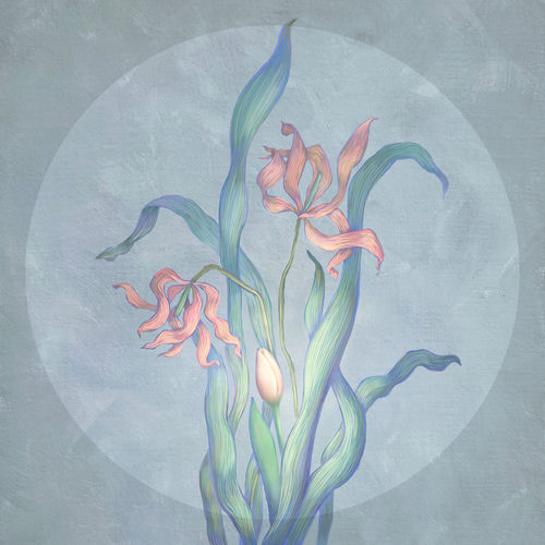 Mingginyu – White night – Single