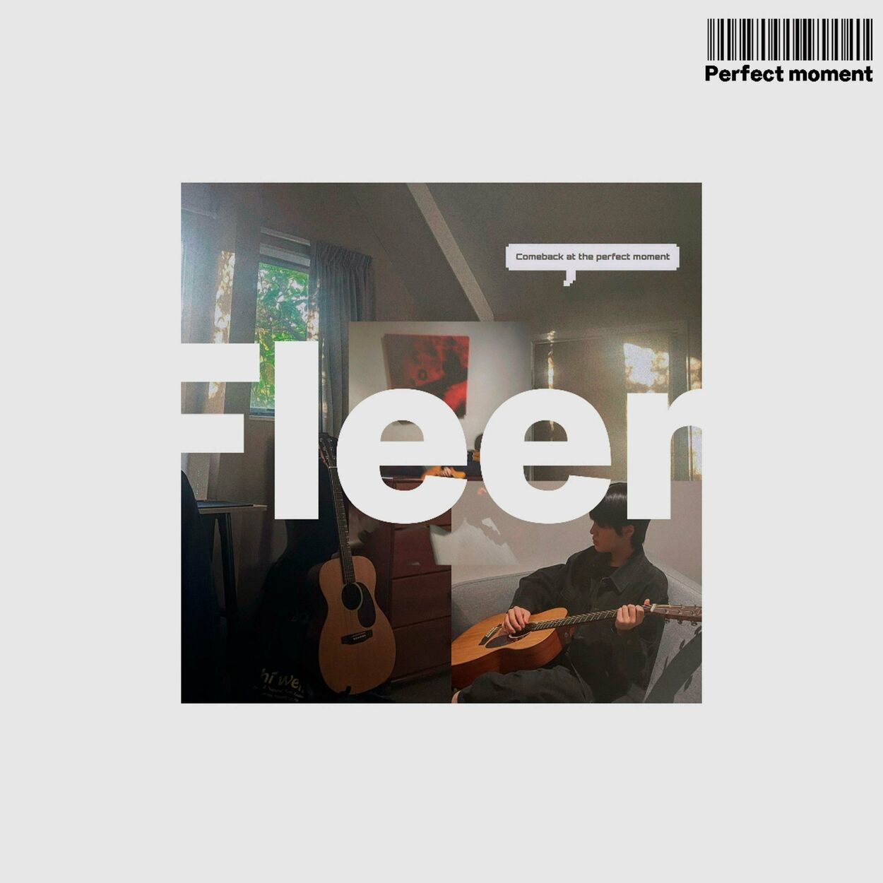 Fleen – Perfect moment – Single