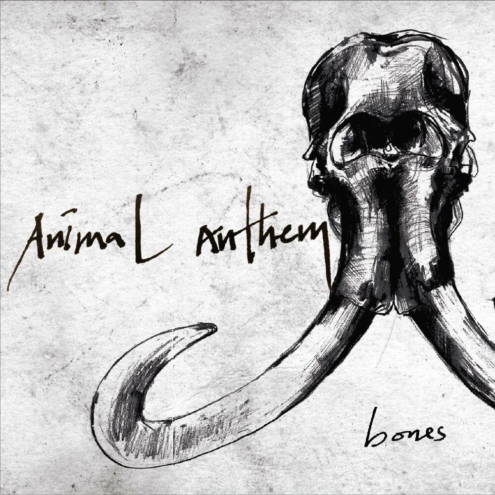 Animal Anthem – Bones