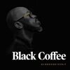 Black Coffee, Elderbrook - Never Gonna Forget	
