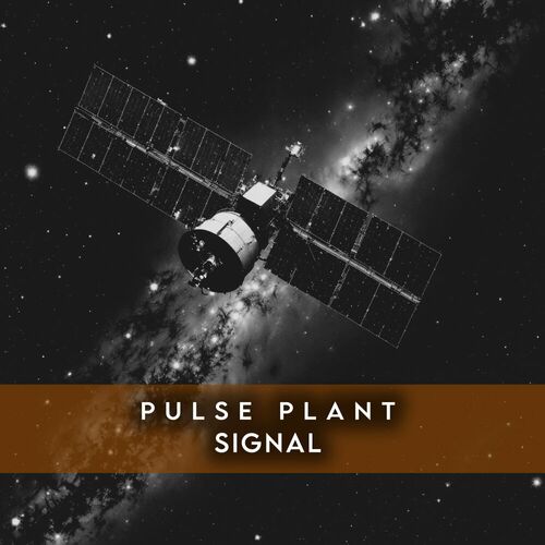  Pulse Plant - Signal (2024) 