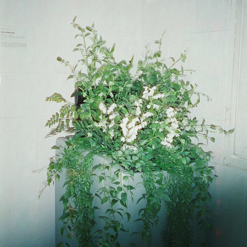 Samuel Seo – Love Eventually – EP