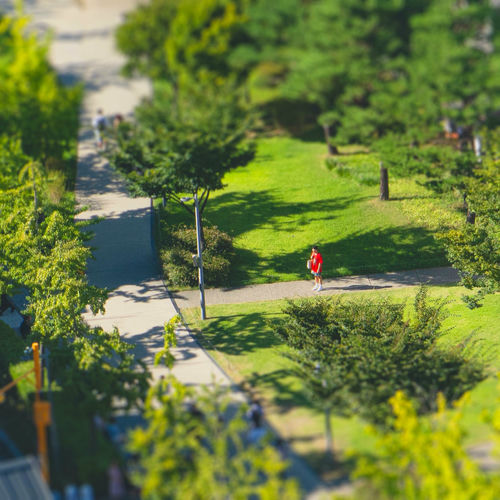 RYU SEOKWON – Cuddle and Burnt scent – Single