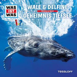 13: Wale & Delfine / Geheimnis Tiefsee Audiobook