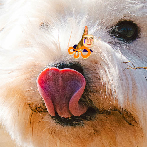 Otis Lim – Playground