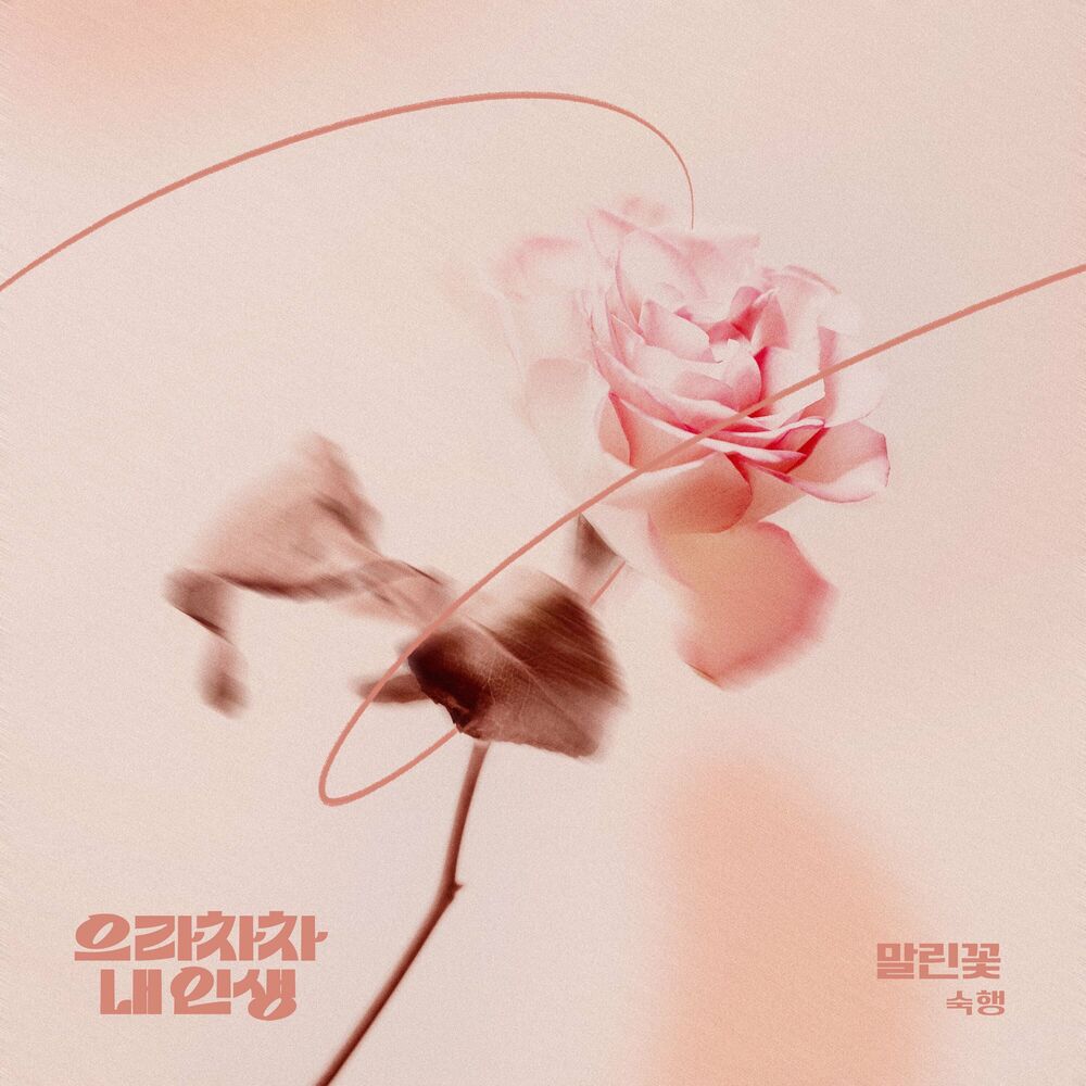 Sook Haeng – Bravo&&My Life OST Part.17